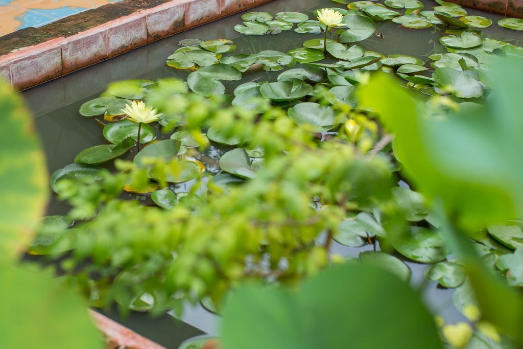 Baan Are Gong Riverside Homestay Αγιουτάγια Εξωτερικό φωτογραφία